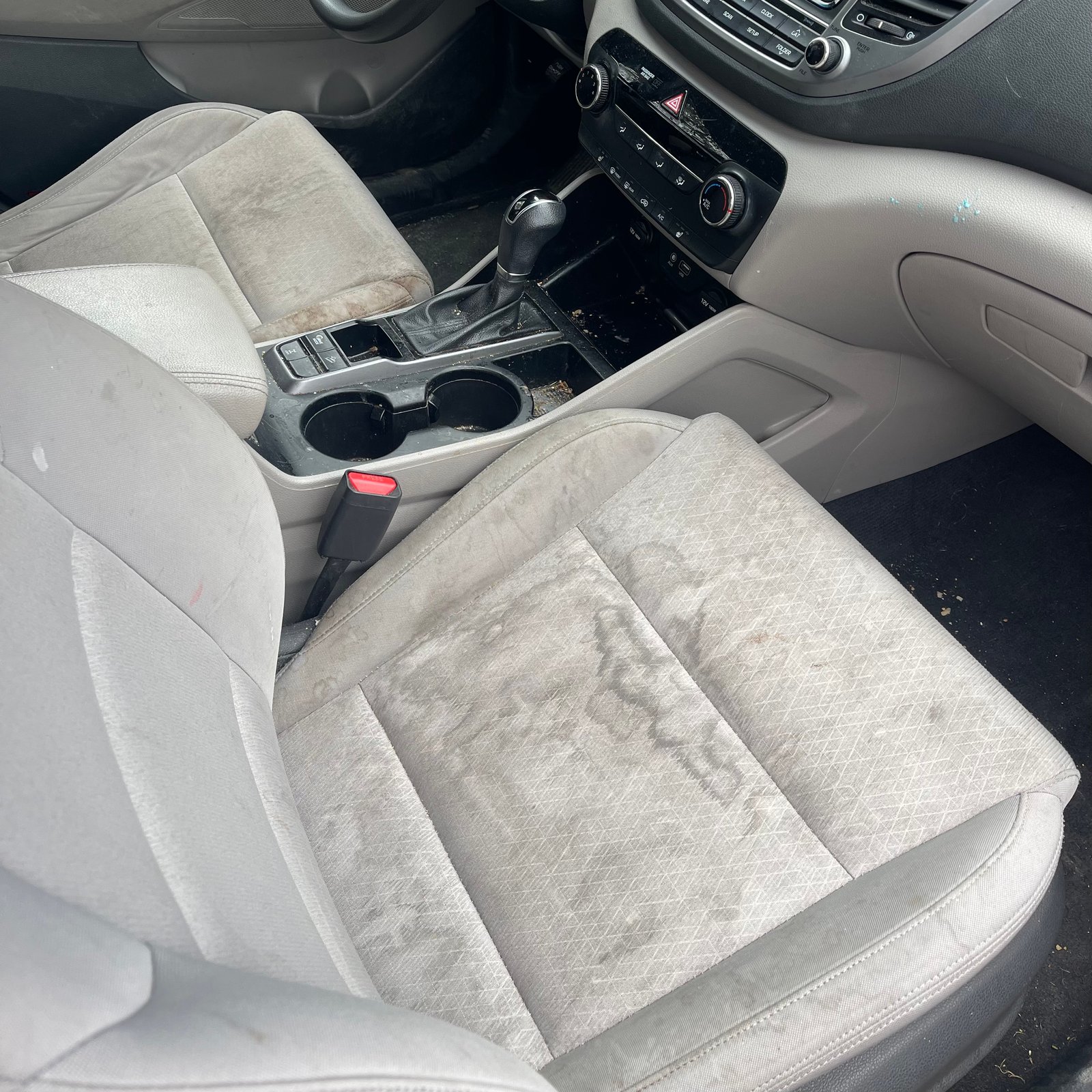 Car Detailing Work 15